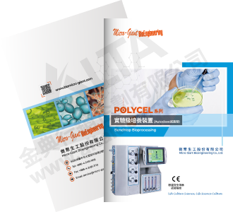 Catalog Design, Flyer Design, Graphic Design